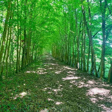 D Pommier Rouge, Coeur Du Perche Remalard