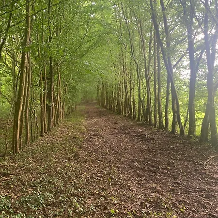 D Pommier Rouge, Coeur Du Perche Гостевой дом