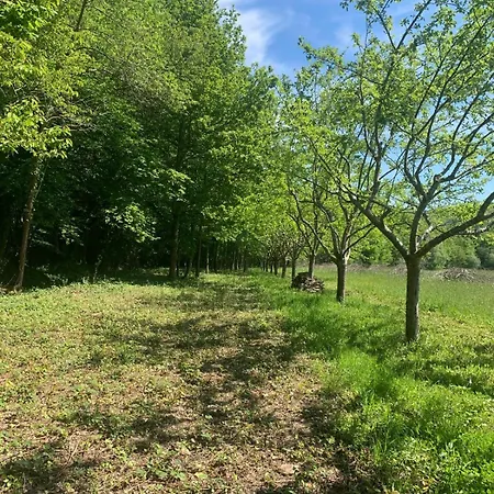 D Pommier Rouge, Coeur Du Perche Remalard