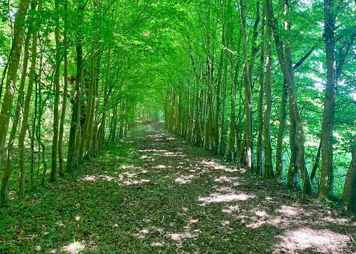 D Pommier Rouge, Coeur Du Perche Remalard