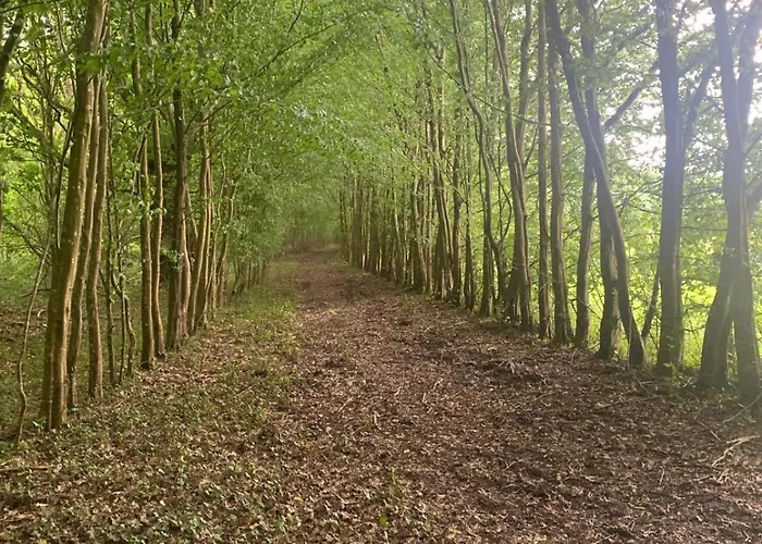 D Pommier Rouge, Coeur Du Perche Гостевой дом