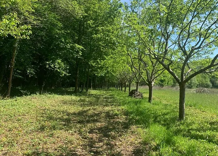D Pommier Rouge, Coeur Du Perche Remalard