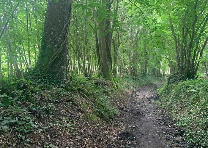 Гостевой дом D Pommier Rouge, Coeur Du Perche Remalard