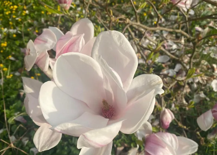 Гостевой дом D Pommier Rouge, Coeur Du Perche Remalard