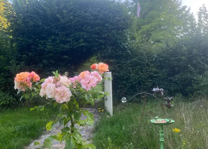 D Pommier Rouge, Coeur Du Perche Remalard